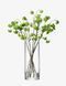 Ваза LSA International Column Giant 50 см CO25 фото 4