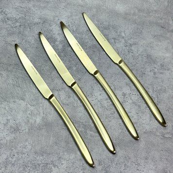 Набір із 4 столових ножів Eternum Orca mat champagne 23,5 см 1489-5_le фото