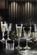 Набор из 6 бокалов для шампанского RCR Timeless 210 мл 25874020406 фото 2