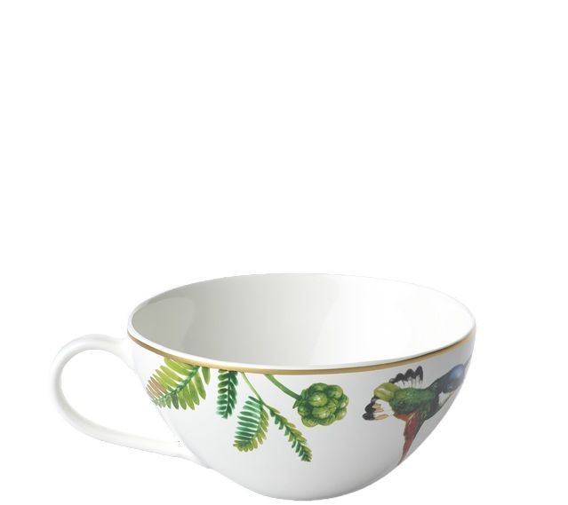 Чашка для чаю Villeroy & Boch Amazonia 140 мл 1043811270 фото