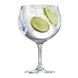 Набір із 2 келихів для коктейлів 710 мл Schott Zwiesel Gin Tonic 120017 фото 1