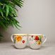 Набір із 2 чашок для кави Villeroy & Boch Spring Awakening 230 мл 1486381301 фото 1