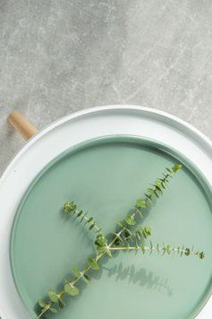 Тарелка обеденная Dovbysh Porcelain NOVA Green 26,5 см зеленая 100109 фото