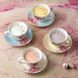 Набор из 4 чашек с блюдцами Royal Albert Miranda Kerr Everyday Friendship 275 мл 701587396387 фото 2