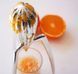 Соковыжималка Alessi Juicy Salif 29 см PSJS фото 10